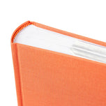 BV album 30x31 salmon white